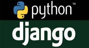 Lee más sobre el artículo Django, el framework utilizado por Instagram.